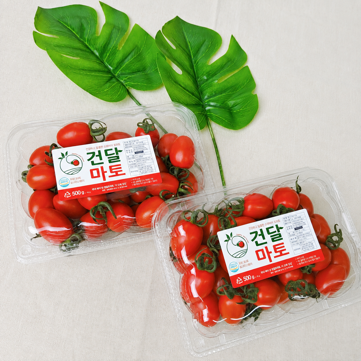 스테비아방울토마토 스테비아토마토 1kg, 1개 - 메인 이미지