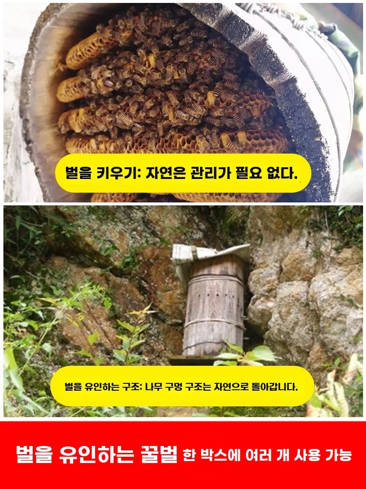 원형 토종벌통 양봉케이스 무조립 원목 기본형 - 상세 이미지 2