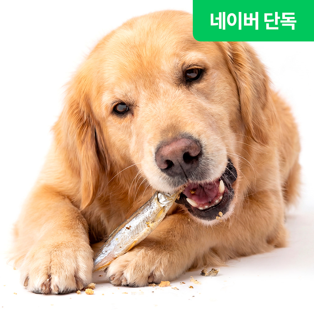 (10봉) 더주스 애견 동결건조 간식 강아지 간식 담기 - 상품 이미지