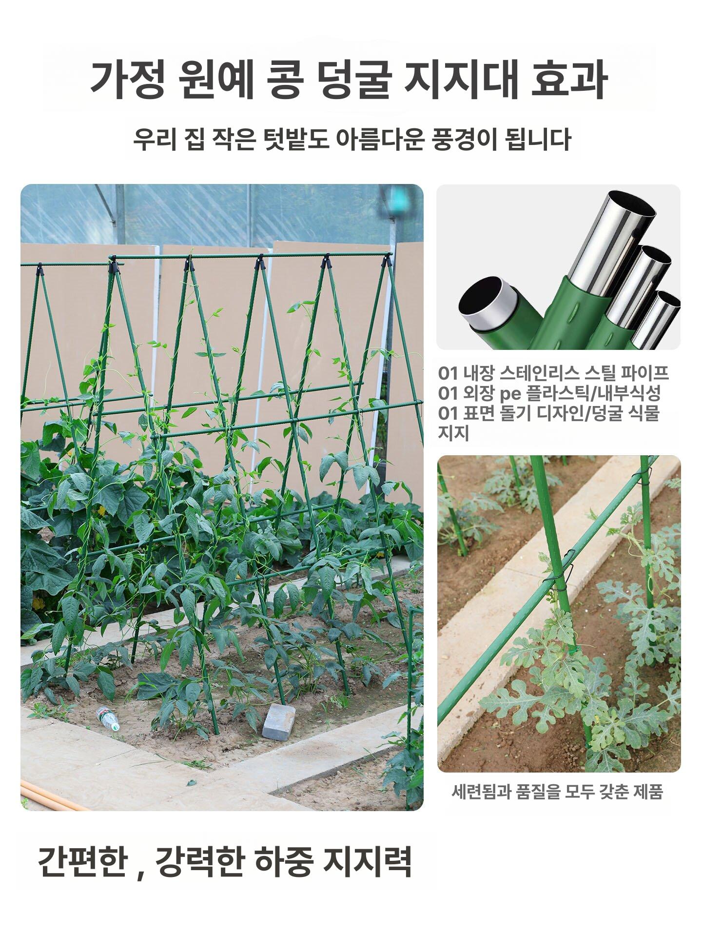 고추 지지대 농업용 식물 유인대 토마토 오이 덩굴 텃밭 재배용 11mm 150cm 150cm 5x8 특대형 - 상세 이미지 5