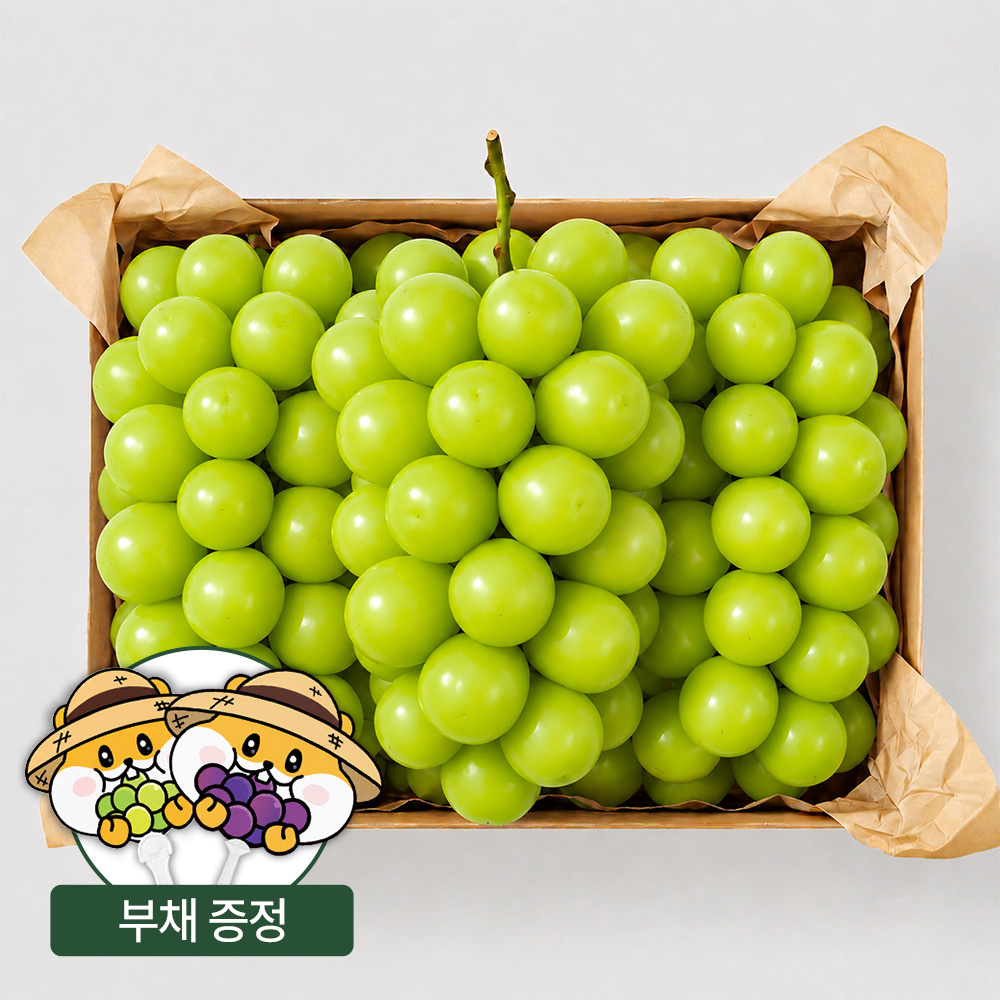 상품 이미지 1