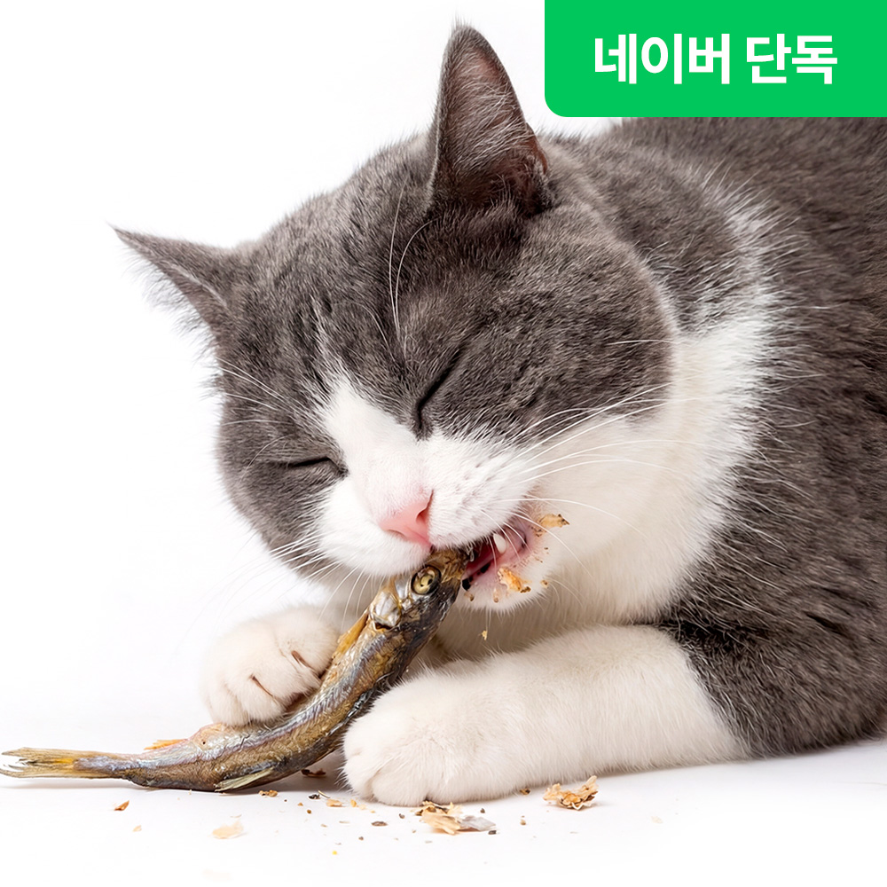 (10봉) 더주스 고양이열빙어 동결건조 간식 강아지 간식 담기 - 상품 이미지