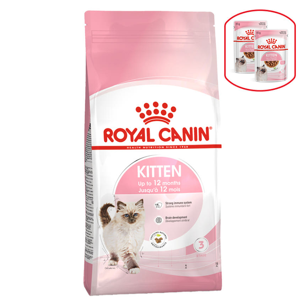 로얄캐닌 고양이사료 대용량 키튼10kg, 10kg, 1개 - 상품 이미지