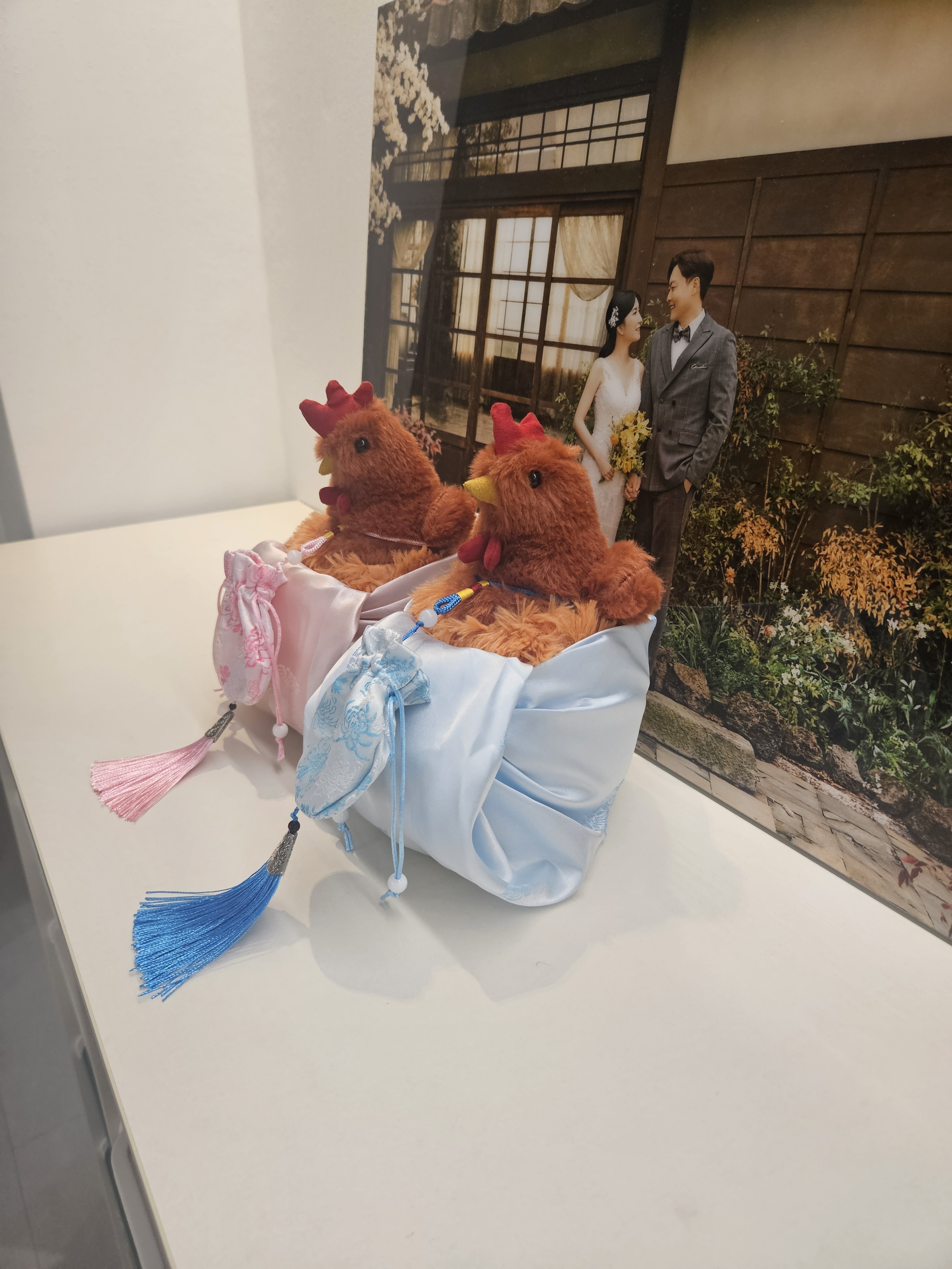 닭인형 결혼식 닭 날리기 던지기 꼬꼬닥 생일 선물 인테리어 방꾸미기 소품 - 상세 이미지 5