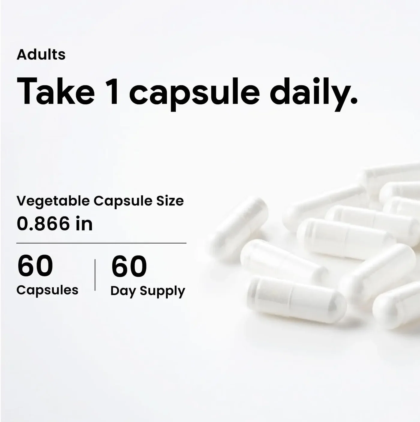 뉴트리돔 L테아닌 엘테아닌 250mg 천연 녹차추출물 60캡슐, 1개 - 상세 이미지 5