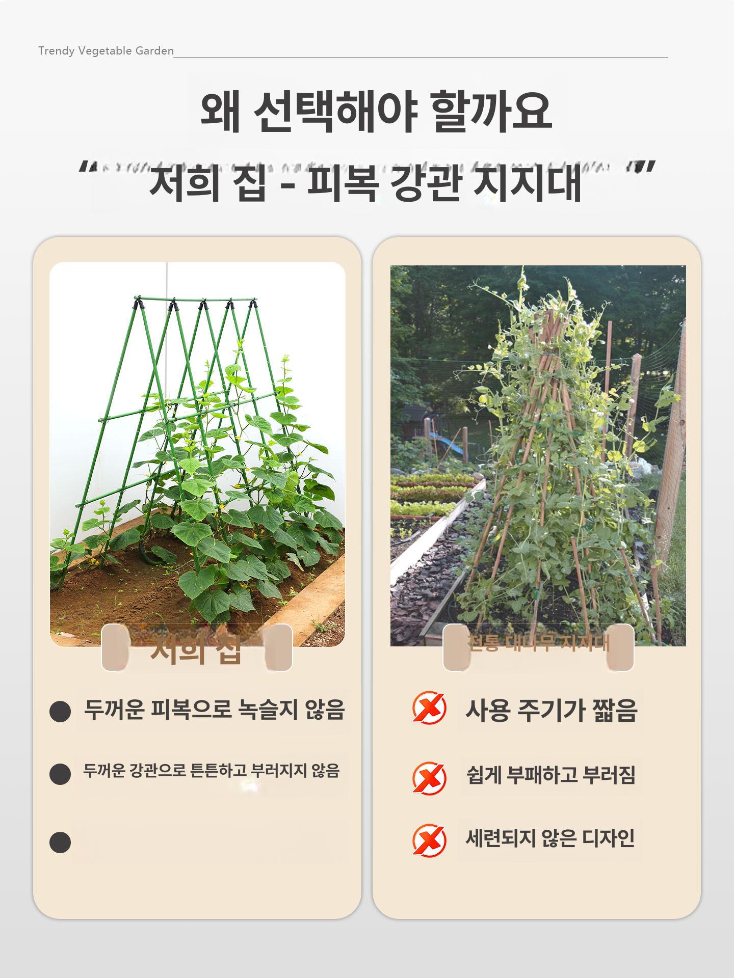 고추 지지대 농업용 식물 유인대 토마토 오이 덩굴 텃밭 재배용 11mm 150cm 150cm 5x8 특대형 - 상세 이미지 4