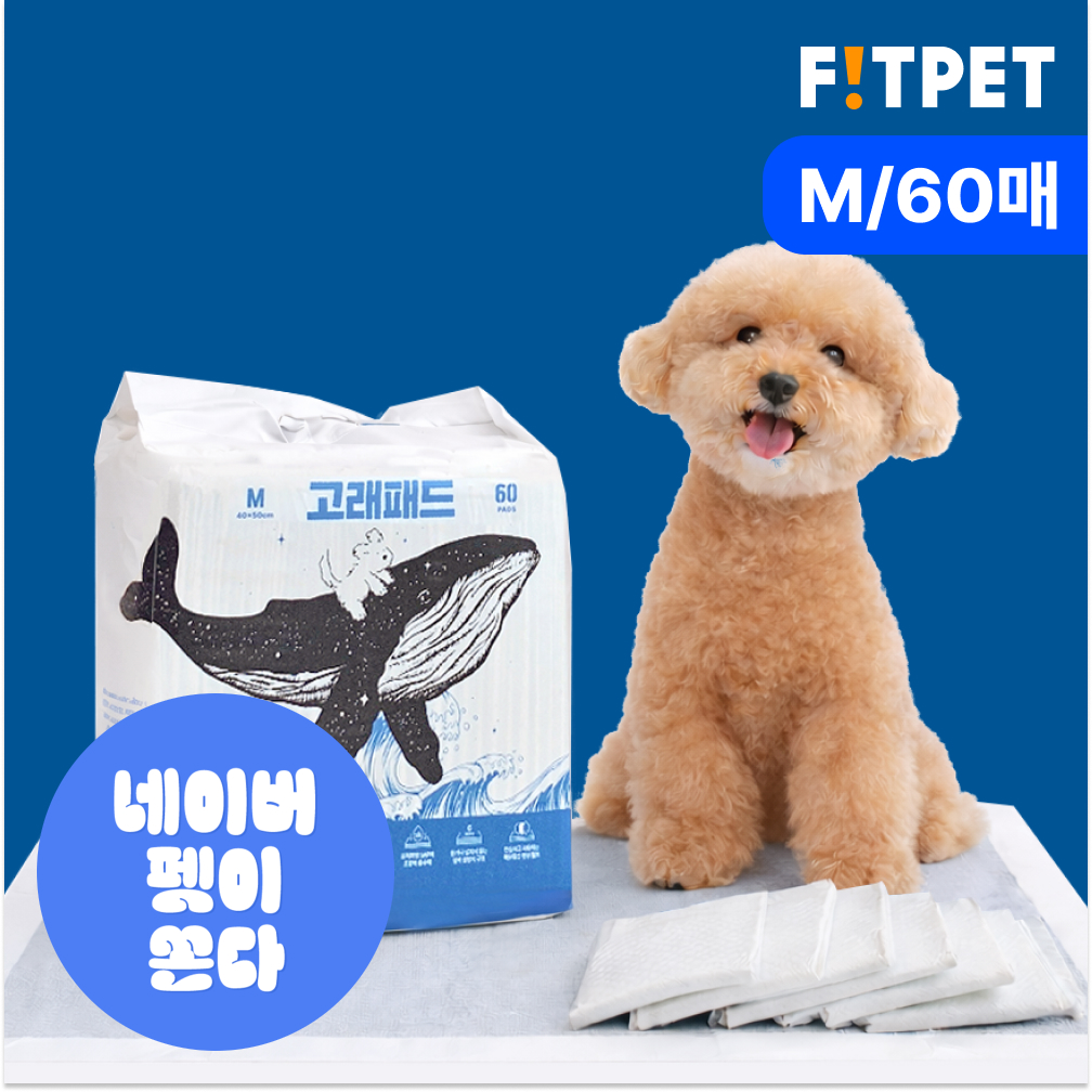 강아지 배변패드 대형 소형 애견 고래패드 1초 흡수 오리지널_M, 60매입, 1개