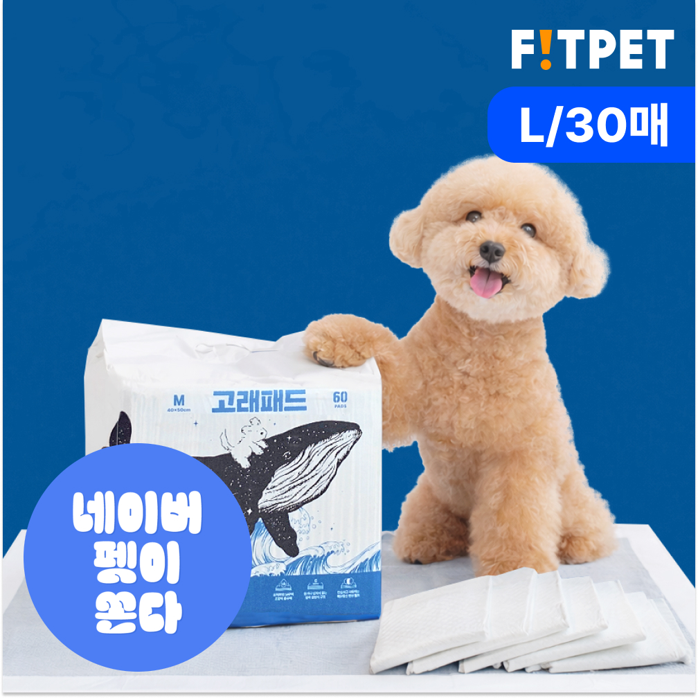 강아지 배변패드 대형 소형 애견 고래패드 1초 흡수 오리지널_L, 30매입, 1개 - 메인 이미지