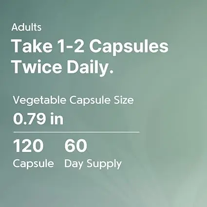 뉴트리돔 유기농 모링가잎 500mg 모링가분말 120캡슐 천연비타민 N119 이미지 7