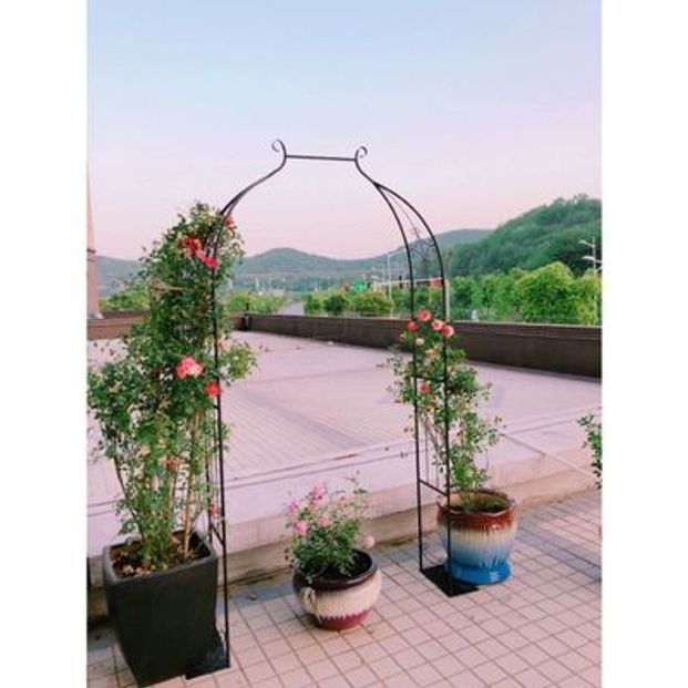 철 포도 랙 정원 장미아치 넝쿨지지대 스타일 B 블랙(문 폭 80cm) 작은 - 상세 이미지 2