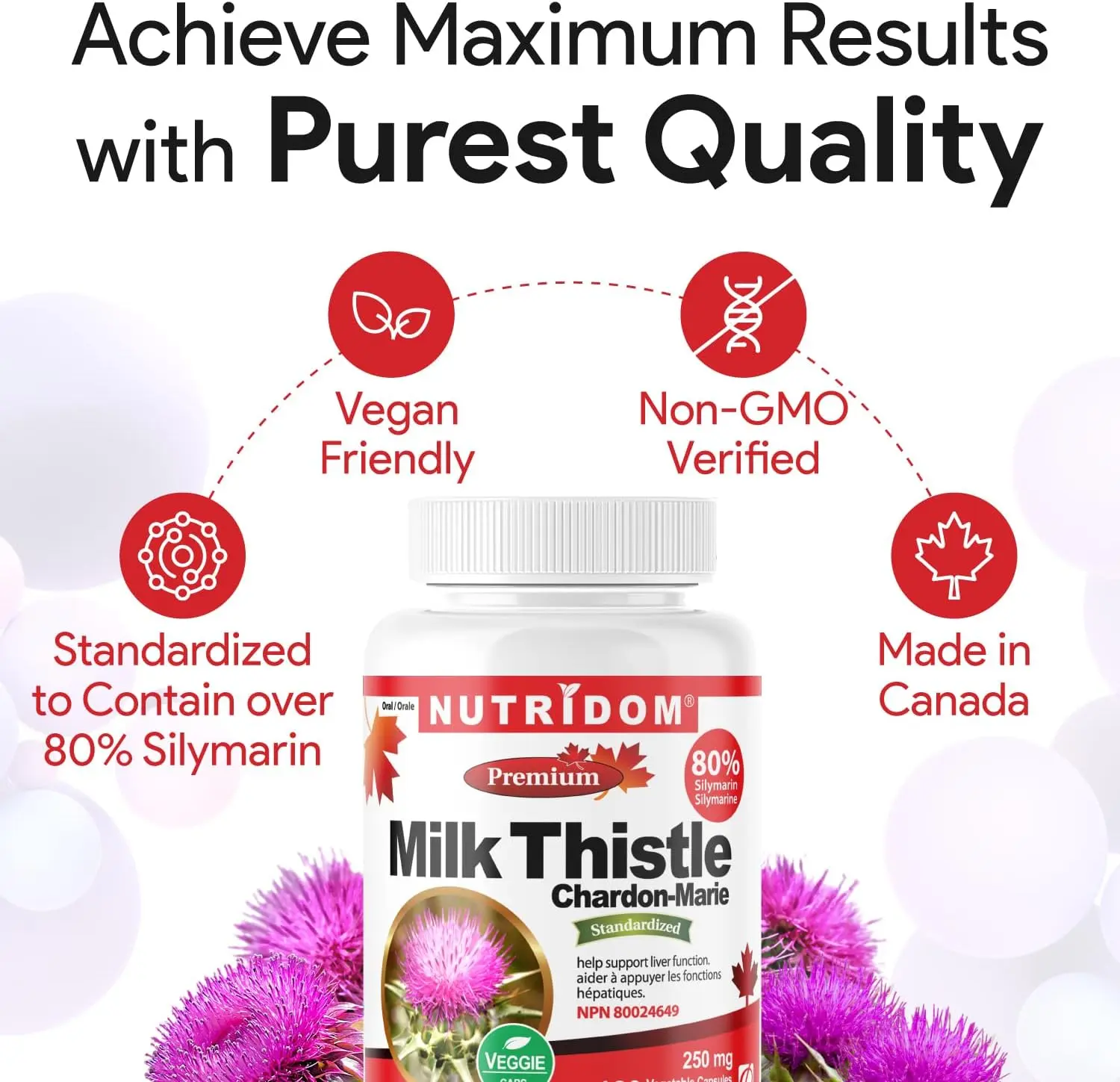 뉴트리돔 밀크씨슬 250mg 실리마린 80% 밀크시슬 120캡슐, 1개 이미지 7
