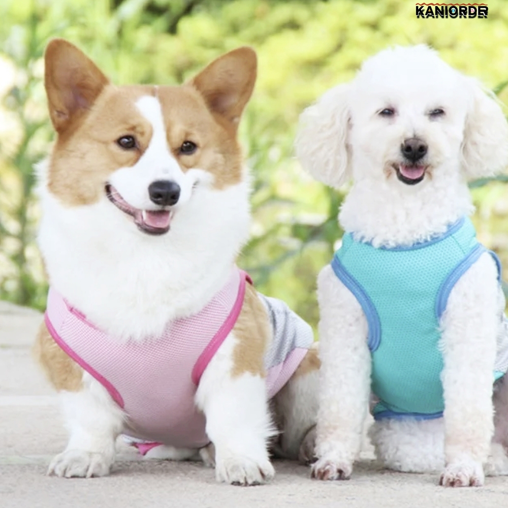 애견 여름옷 강아지 시원한 쿨조끼 야간 산책 베스트 - 상품 이미지