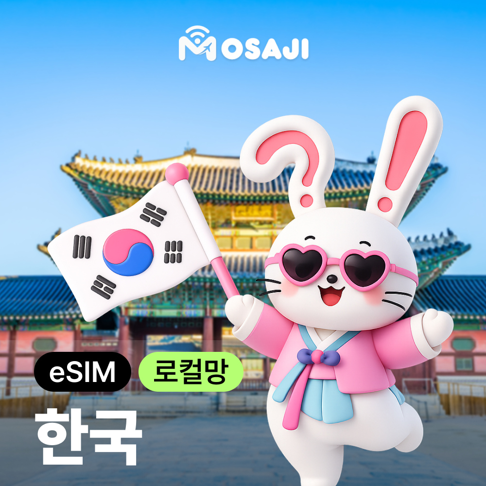 한국이심 eSIM E심 SKT 1일 무제한 데이터 30일 60일 90일 외국인 - 상품 이미지