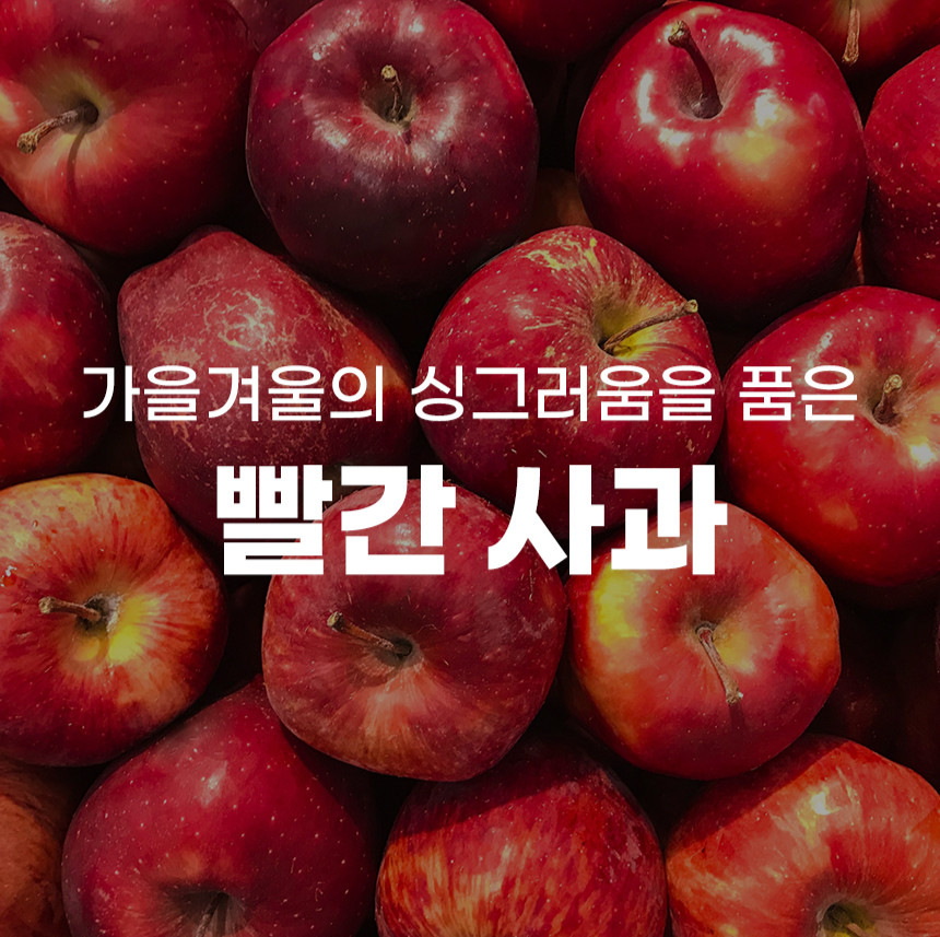 청송 사과 시나 시나노골드 사과 시나몬 스위트 신품종 황옥 황금 사과 5kg - 상세 이미지 2