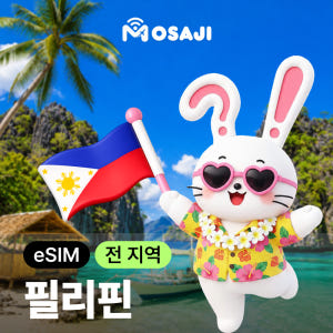 필리핀이심 ESIM 세부 보홀 E심 스마트 글로브 무제한 데이터 솔직 후기 | 실사용자 리뷰 분석 - 상품 이미지 1