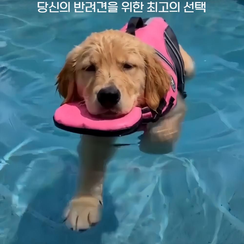 강아지 수영복 구명조끼 대형 부력 반려동물 수영복 비숑 보더 콜리 중형 소형 - 상세 이미지 2
