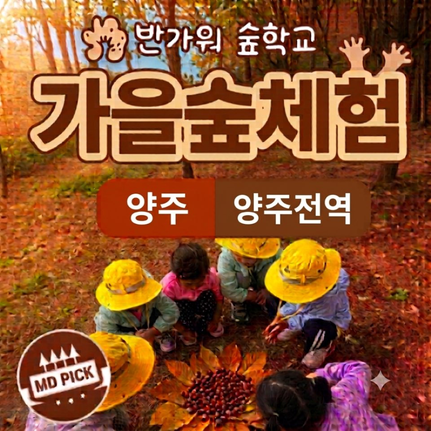 [6인이하] 양주 오감폭발 여름 숲체험 | 불곡산, 옥정생태숲, 송추계곡 by 반가워숲학교 - 상품 이미지