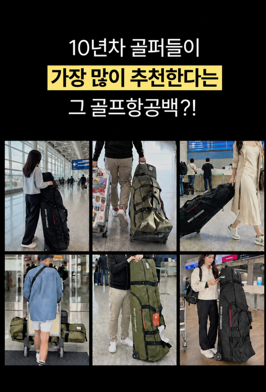 내일은버디 골프항공백 프로팩 캐디백항공커버 하드케이스 카바 바퀴 판매처 상세 정보 이미지 3