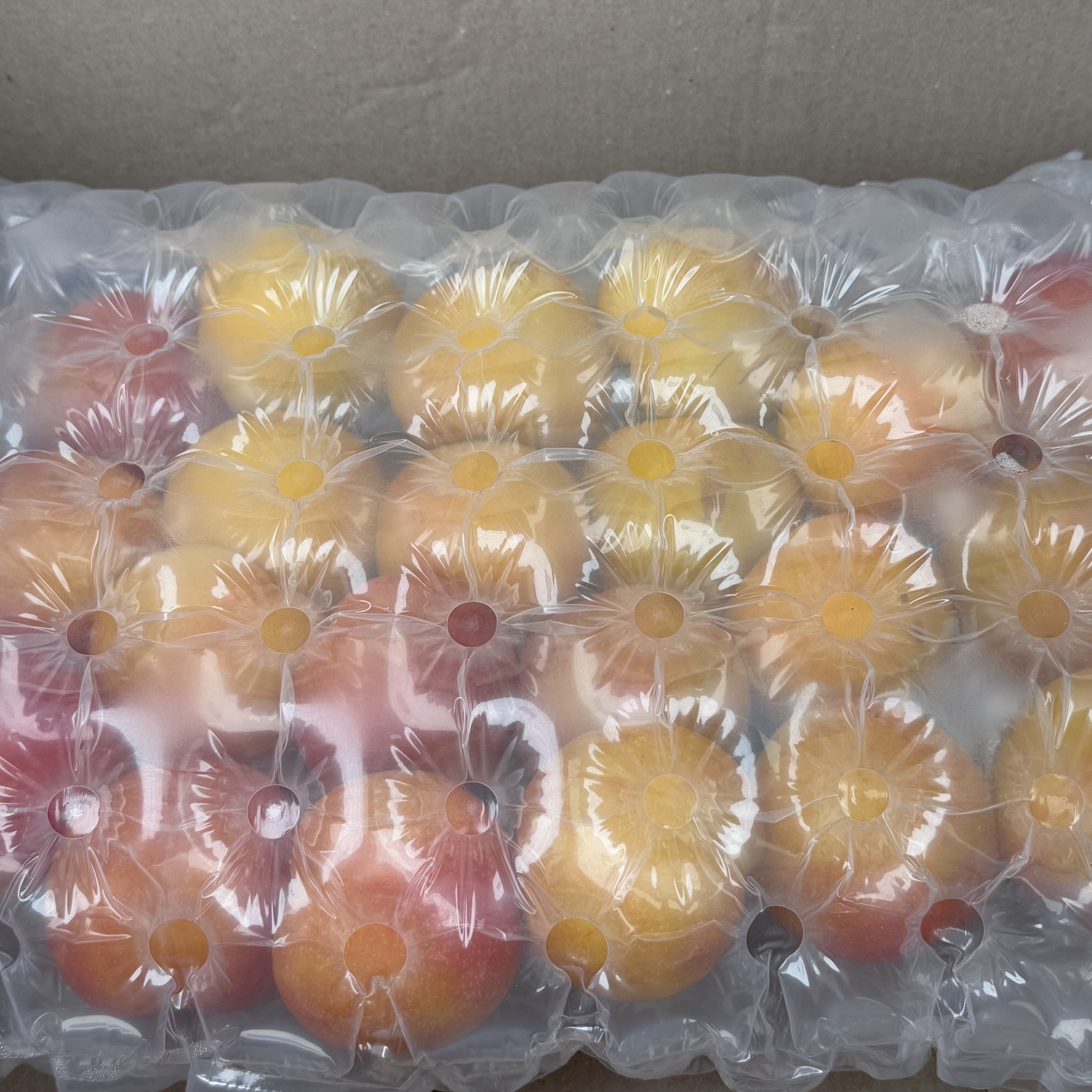 신선마켓 햇 추희자두 특대과, 1kg, 1개 - 상세 이미지 4