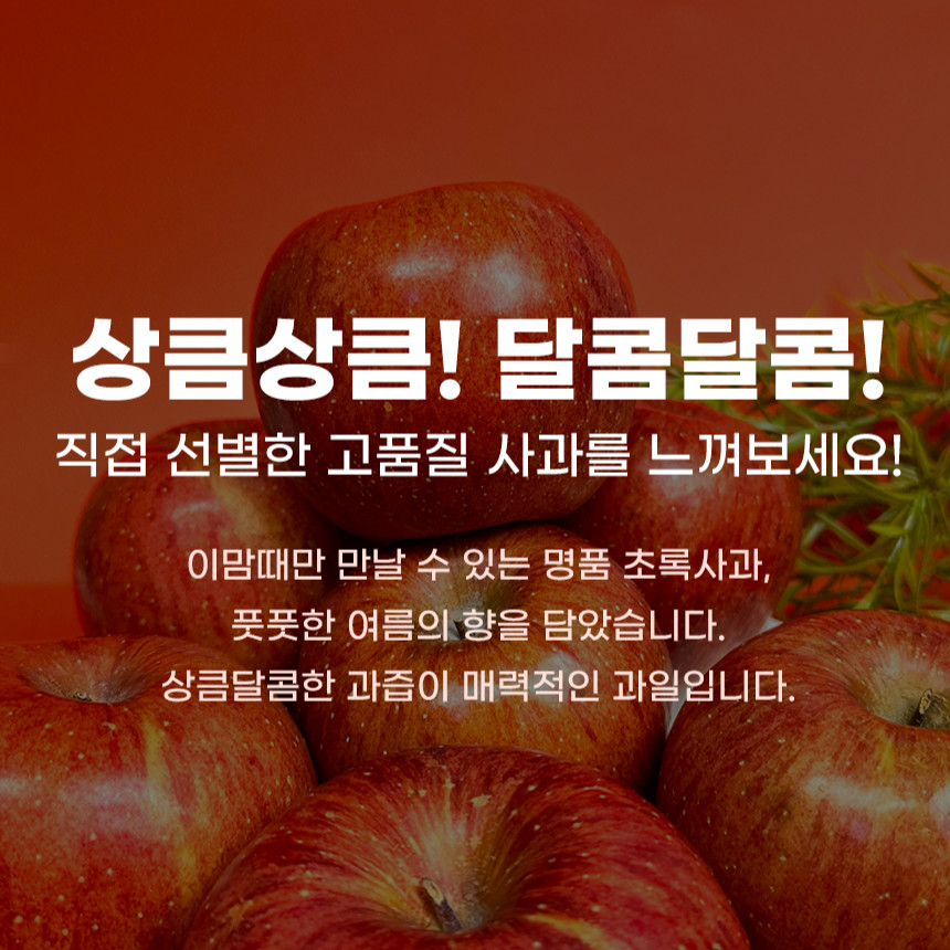 청송 사과 시나 시나노골드 사과 시나몬 스위트 신품종 황옥 황금 사과 5kg - 상세 이미지 3