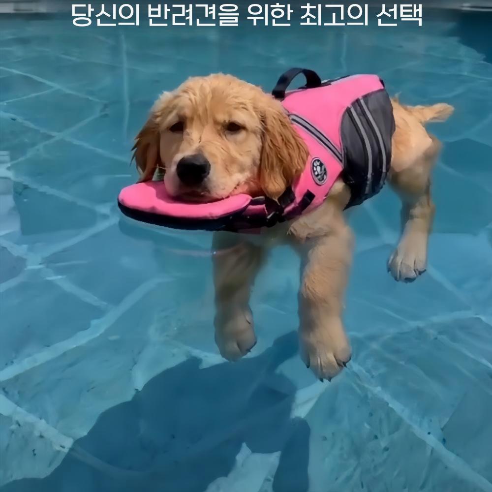 강아지 수영복 구명조끼 대형 부력 반려동물 수영복 비숑 보더 콜리 중형 소형 - 상세 이미지 5