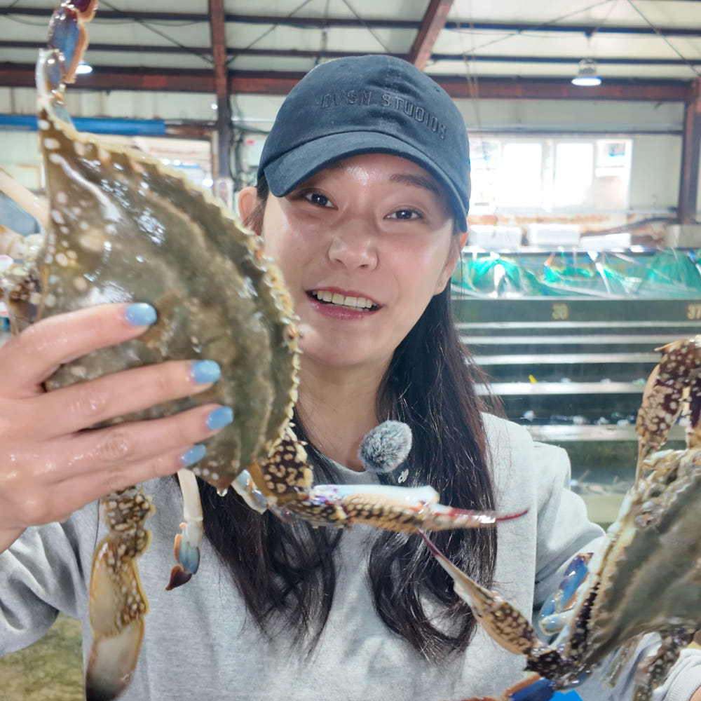 신선만 꽃게 숫꽃게 암꽃게 진도 제철 가을 1kg : 신선만