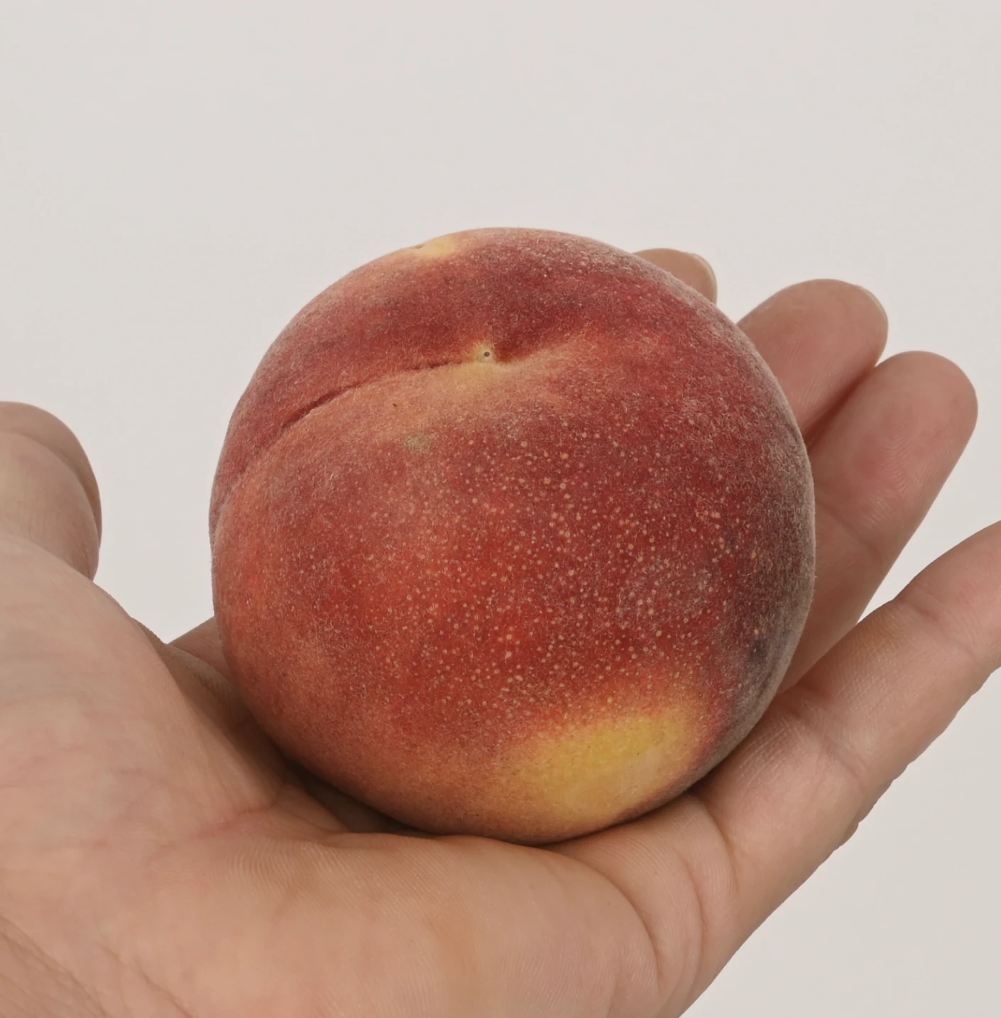 신품종 황도계열 대극천 | 1kg 황도계열대극천 제철과일 선물용과일 - 상품 이미지