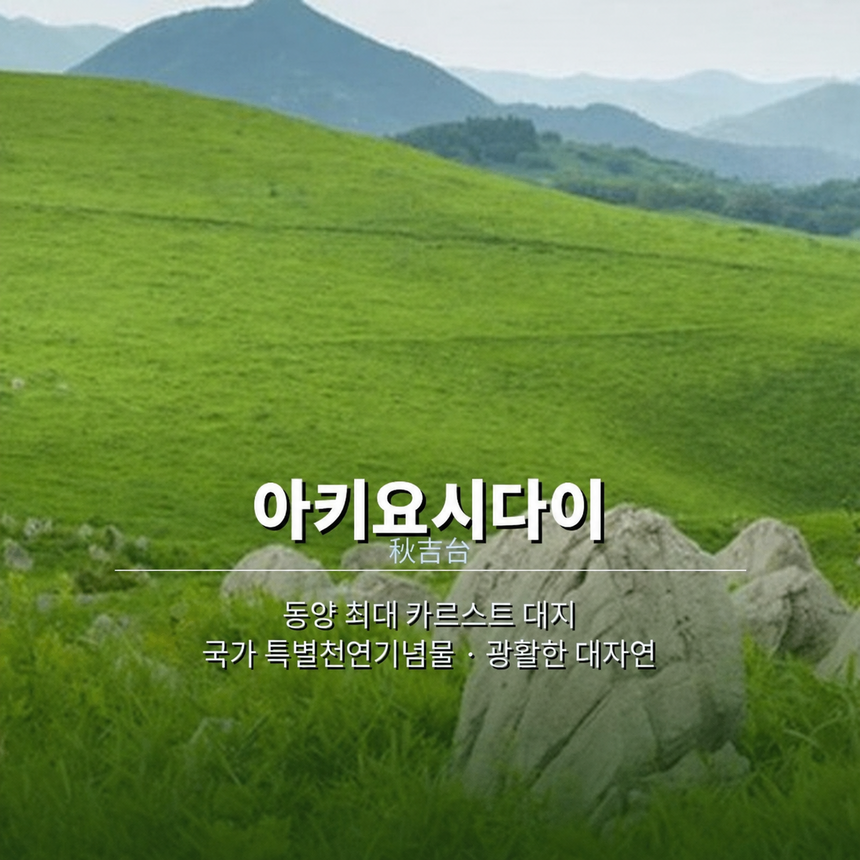 야마구치 원데이버스 부관훼리타고 시모노세키 자유여행하기 버스투어 이미지 8