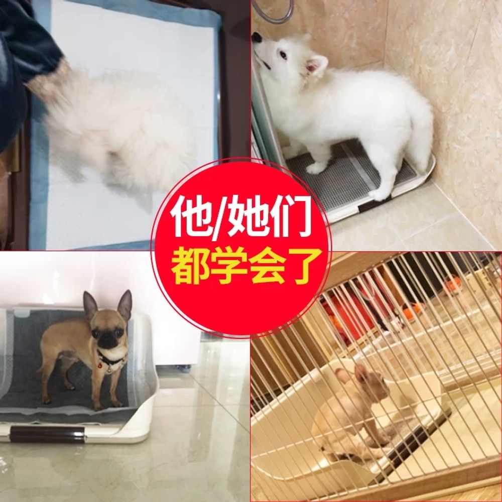 높은벽 강아지화장실배변판 울타리배변판 - 상세 이미지 5