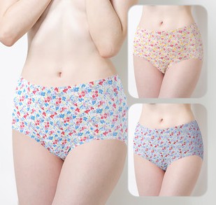 제임스딘 면100 맥시플러스 여삼각 3매입 jhwpbz5b - 상품 이미지