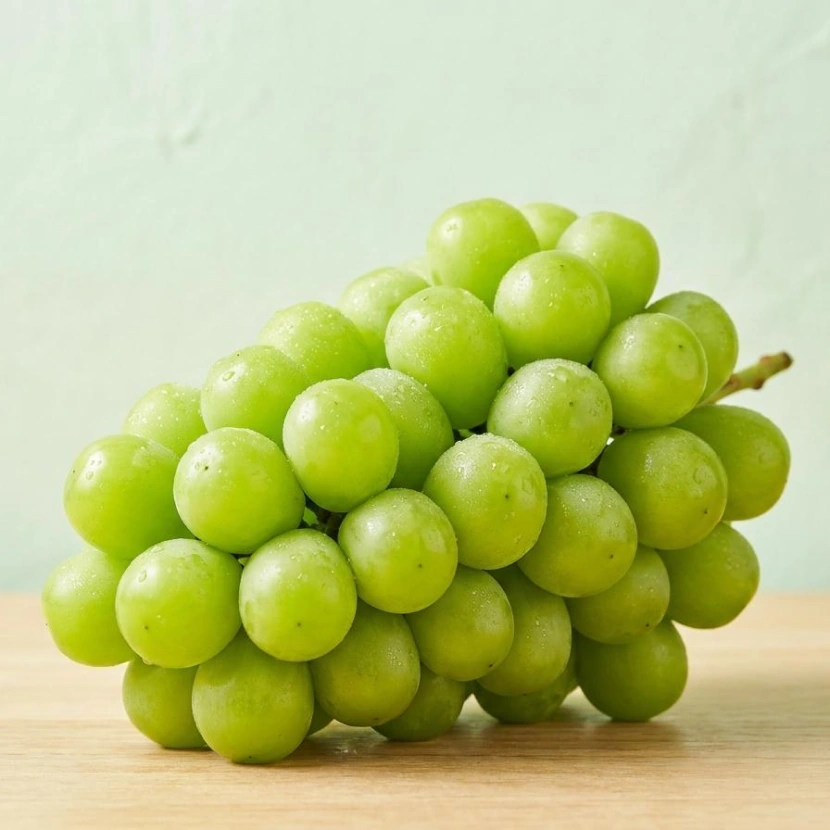 고당도 샤인머스켓 | 1kg 2kg 고당도샤인머스켓 제철과일 선물용과일 - 상품 이미지