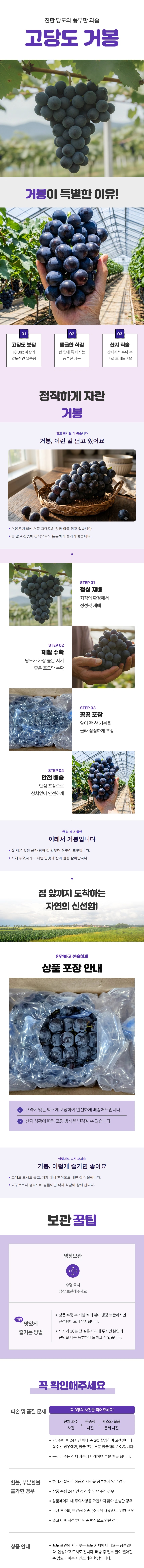 거봉 소용량 | 400g 1kg 제철과일 선물용과일 - 상세 이미지 2