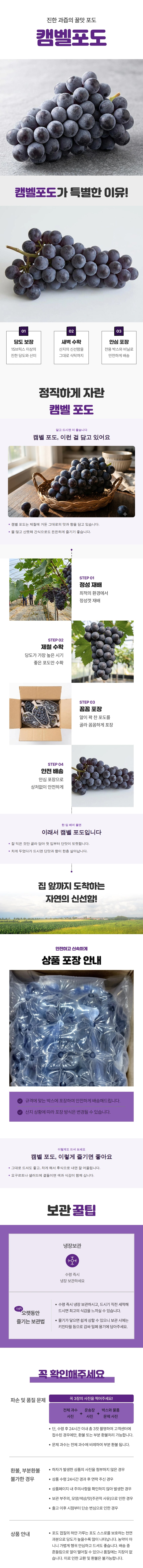 캠벨 포도 소용량 | 500g 1kg 캠벨포도 제철과일 선물용과일 - 상세 이미지 2