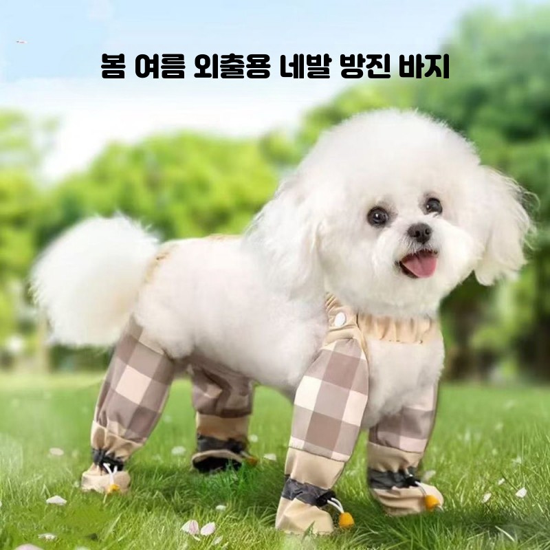 강아지일체형신발 강아지 장화 논오프 레인부츠 비숑 프리제 소형견 펫 방진 바지 - 상세 이미지 2