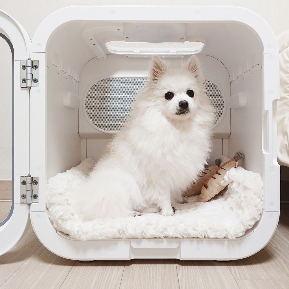 [디클펫] 펫드라이룸 듀얼팬 빠른건조 강아지 고양이 드라이기 펫마블 러브에어 프로 - 상세 이미지 2
