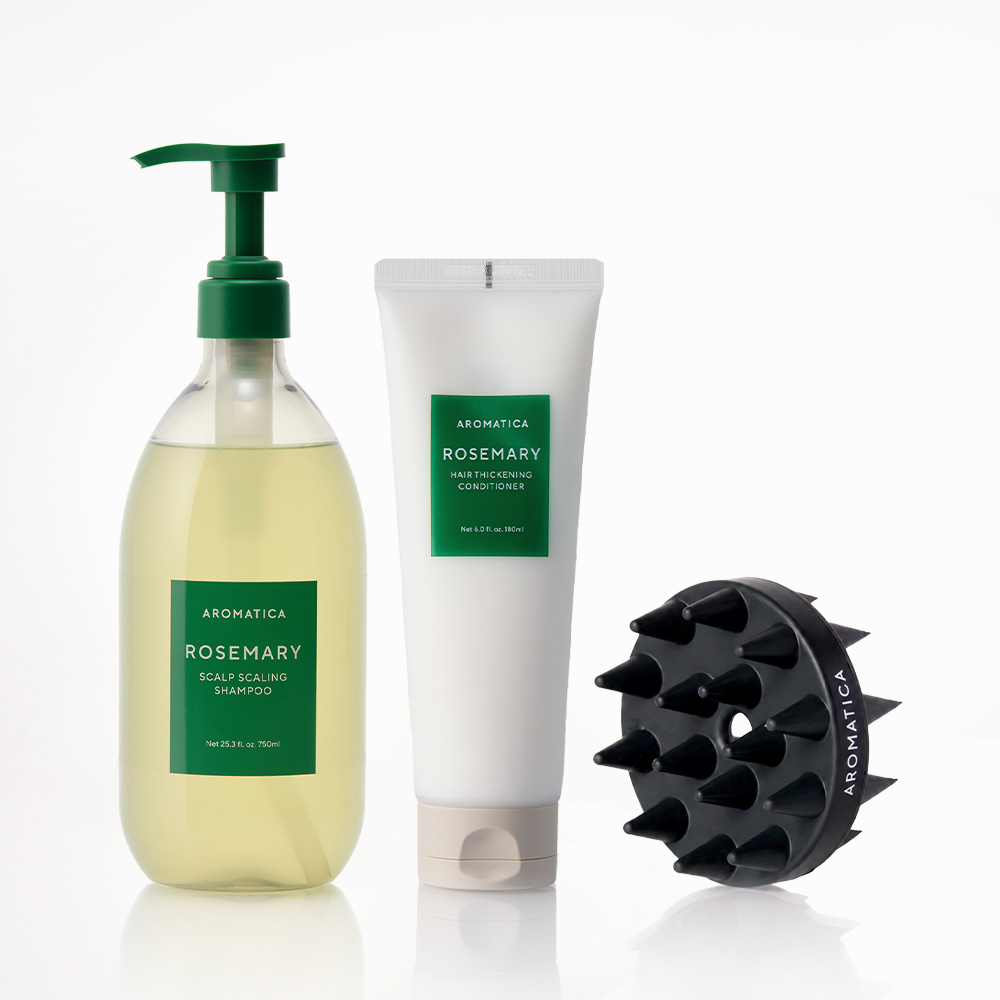 아로마티카 로즈마리 샴푸 750ML & 컨디셔너 180ML & 샴푸 브러쉬 두피 스케일링 3종 세트 - 상품 이미지