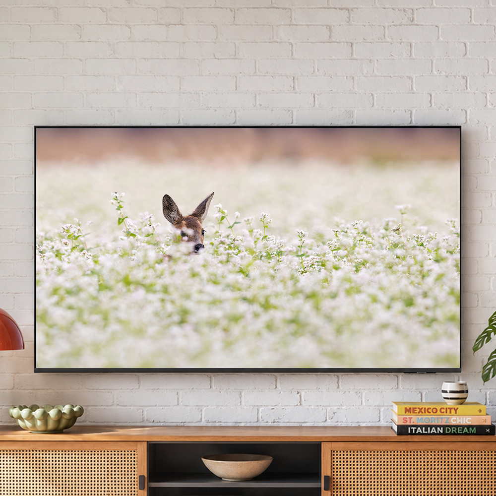[으뜸효율]혜택가 40만 삼성 107.9cm(43인치) 비즈니스TV 4K UHD 1등급 LH43BECHLGFXKR 벽걸이형 - 상세 이미지 4