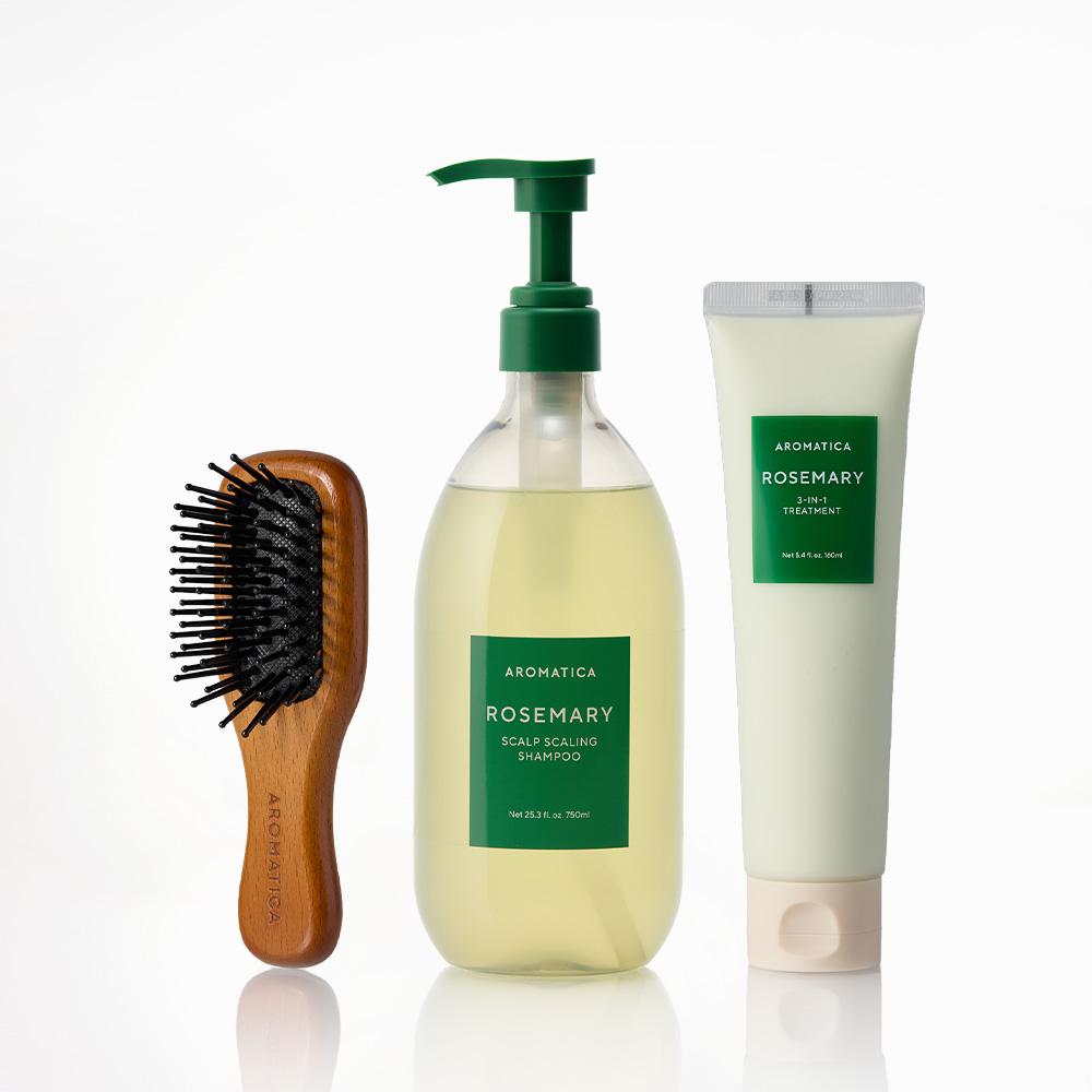 아로마티카 로즈마리 샴푸 750ML & 트리트먼트 160ML & 브러쉬 데일리 헤어 리추얼 세트 - 메인 이미지