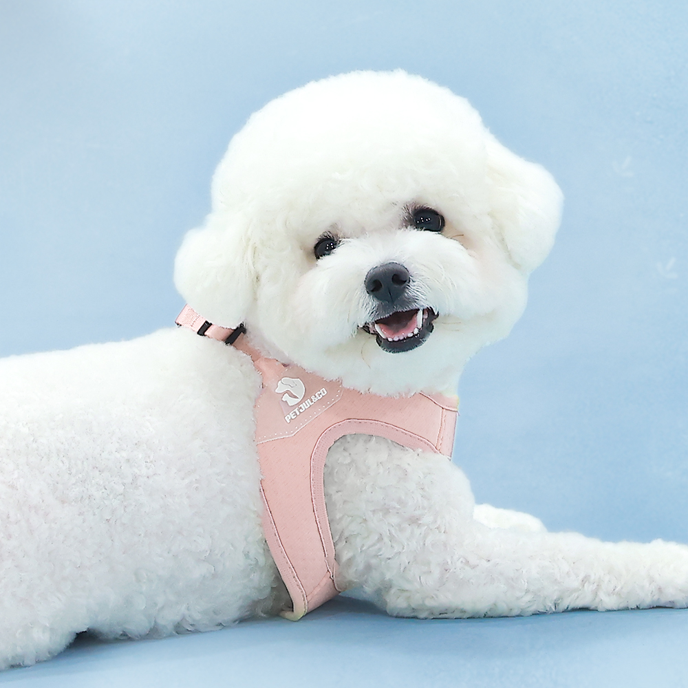 펫줄앤코 강아지 하네스 노터치 버클 X형 쿨 경량 소형견 가슴줄 핑크 S 소형