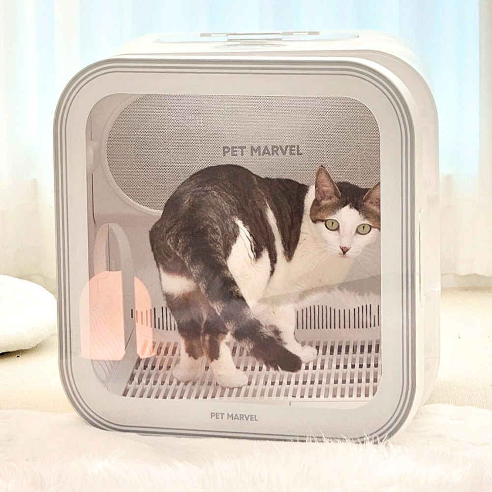 [디클펫] 펫드라이룸 듀얼팬 빠른건조 강아지 고양이 드라이기 펫마블 러브에어 프로 - 상세 이미지 3