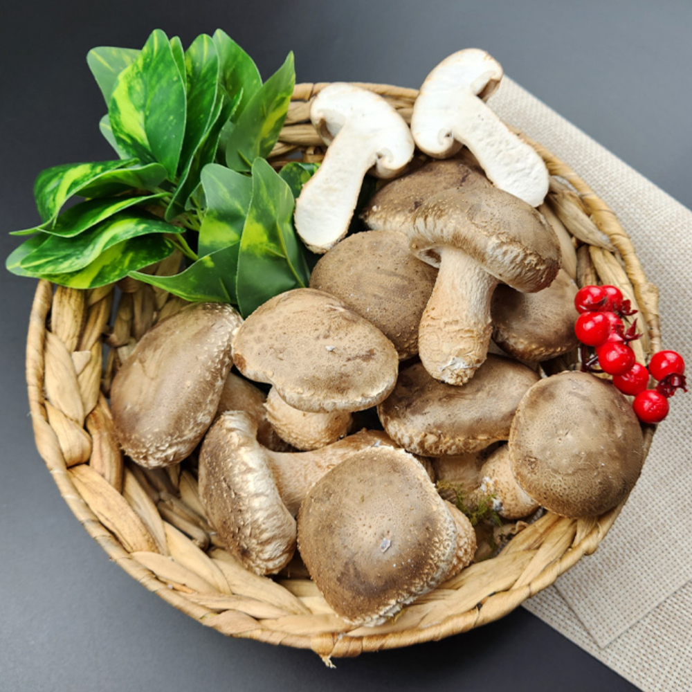 송화버섯 선물세트 송이향 표고맛 당일수확 GAP인증 무농약 친환경 1kg - 상세 이미지 3