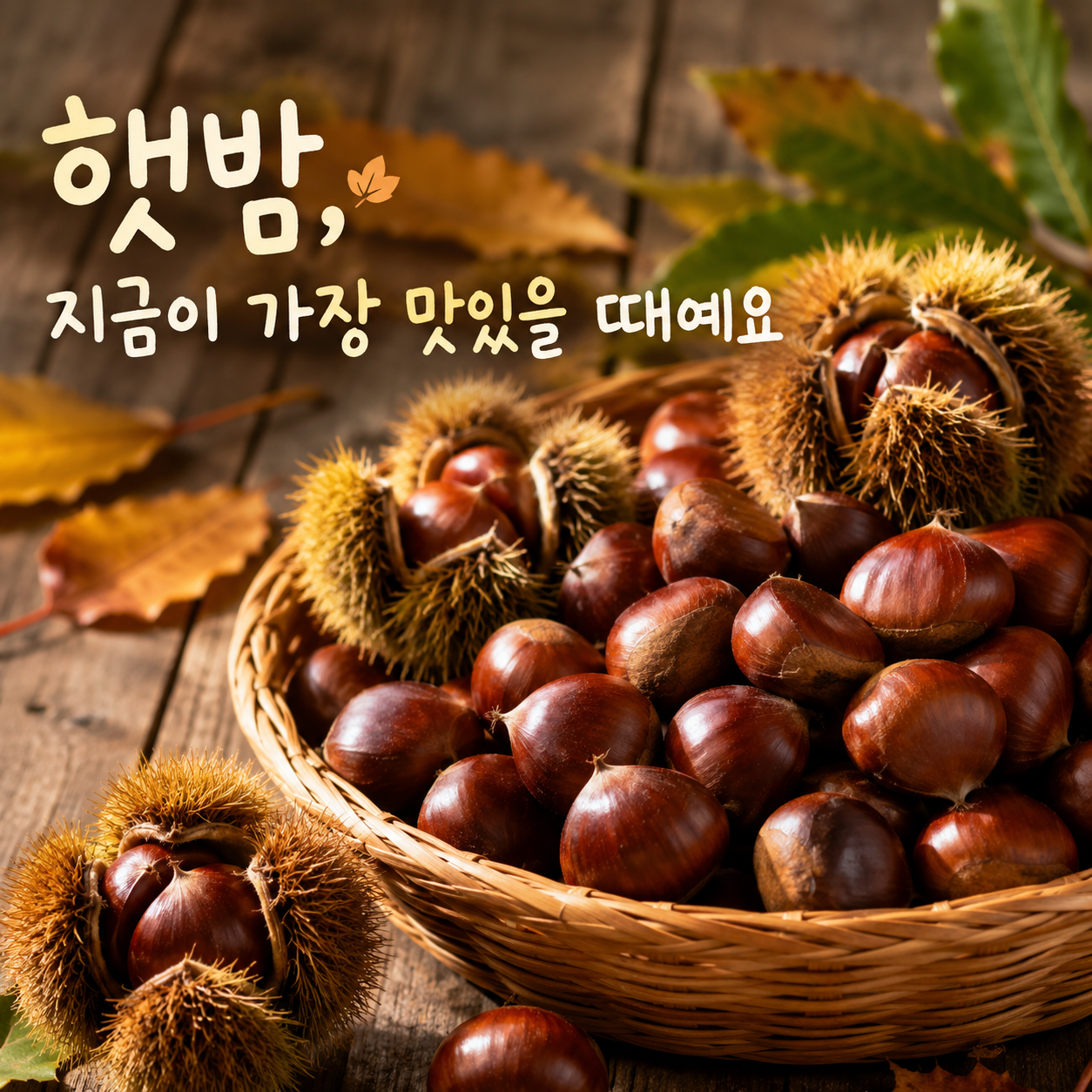 햇밤 공주 옥광 생율 대보 국산 알밤 생밤 광양 황율 건율 말린밤 알밤 - 상세 이미지 2