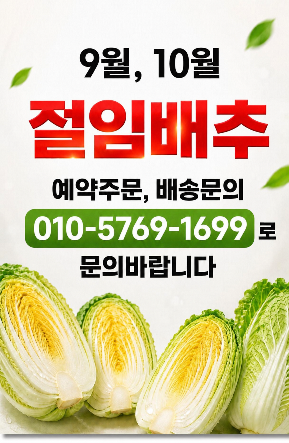강원도 절임배추 절인 배추 고랭지 영월 김장 김치 20kg, 1개 - 상세 이미지 3