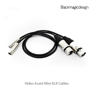 Mini XLR Adapter Cables