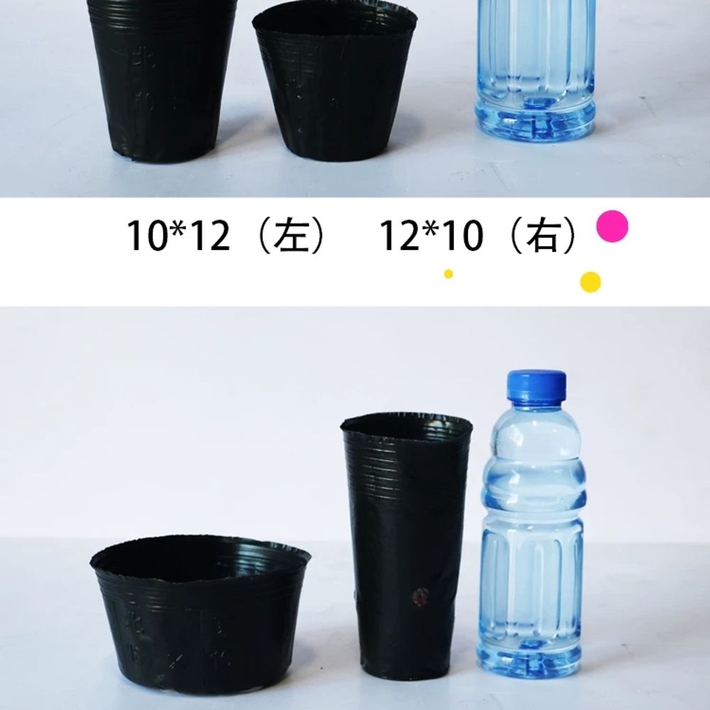 묘목포트 비닐화분 사각 식물 일회용 분갈이 - 상세 이미지 4