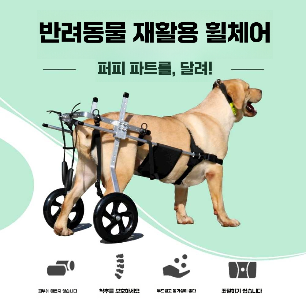 강아지 보행기 훈련 슬개골 장애 애완 동물 바퀴 애묘 M - 상세 이미지 2
