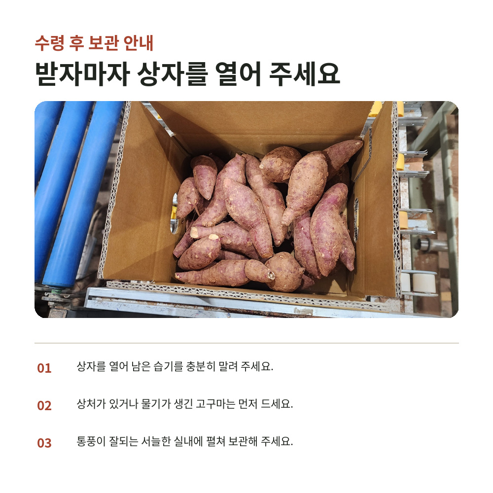 해남 호풍미 호박고구마 햇고구마 한입 밤 고구마 10kg, 1개 이미지 6