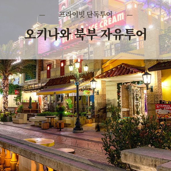 오키나와 북부 단독투어 만좌모 츄라우미 고우리대교 파인애플 아메리칸빌리지 스노클링 가족여행 - 상품 이미지