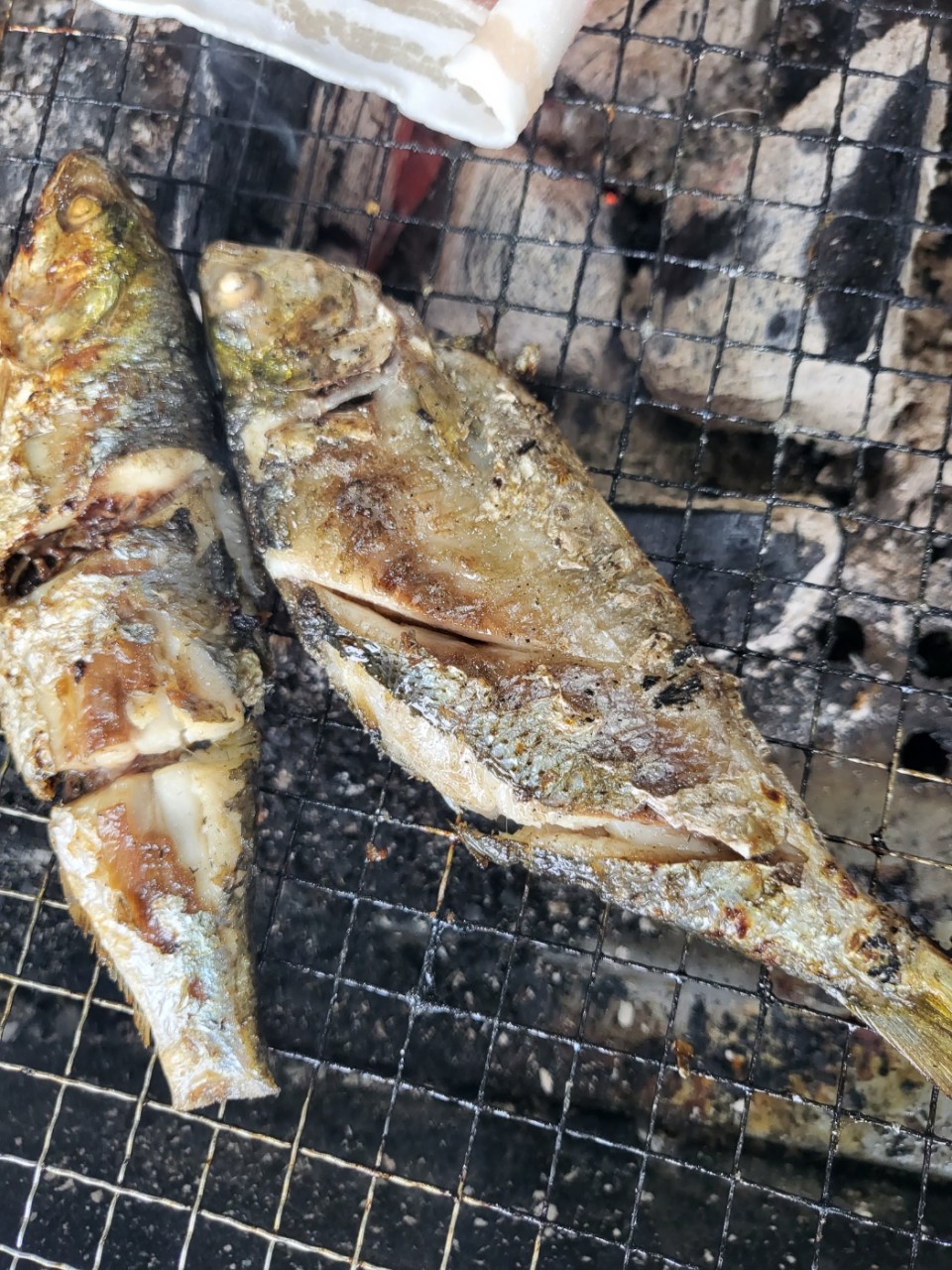국내산 제철 전어 500g / 구이용 세꼬시 필렛 / 손질전어 - 상세 이미지 2