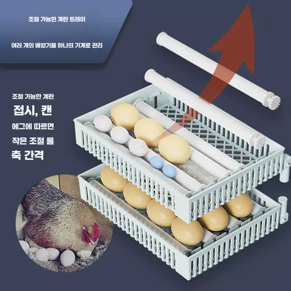 병아리부화기 닭 오리 디지털 전기 앵무새 유정란 24 자동 단일 배터리 360도 계란 뒤집기 이미지 6